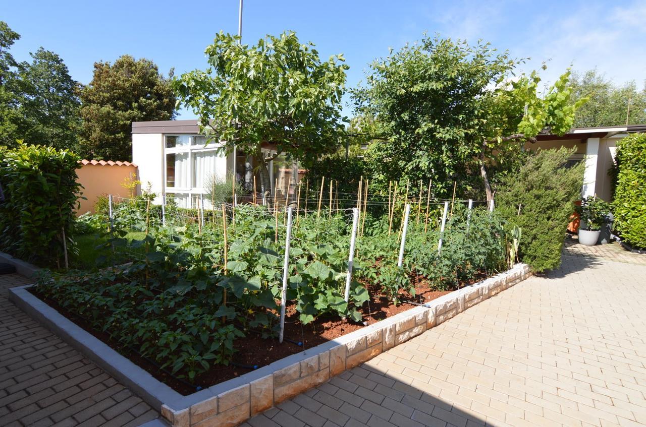 Apartmani Dekovic Materada Porec Luaran gambar